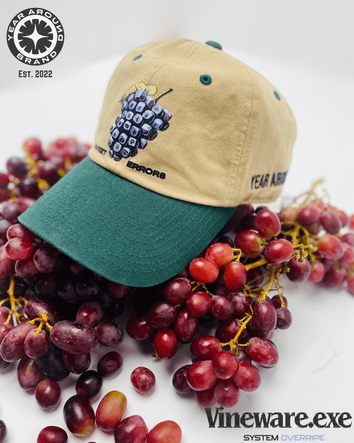 Sweet Errors Hat