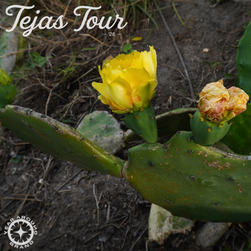 Tejas Tour Hat